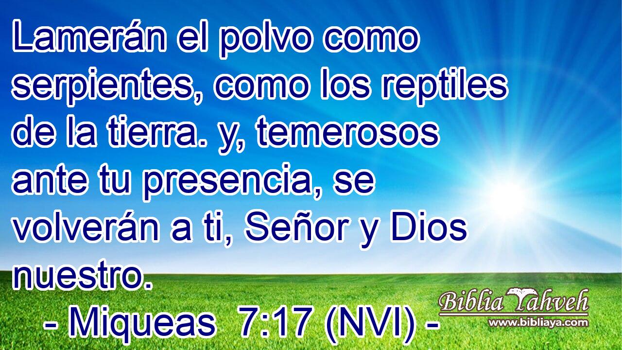  Lamerán el polvo como serpientes, como los reptiles de la tierra. y, temerosos ante tu presencia, se volverán a ti, Señor y Dios nuestro. 