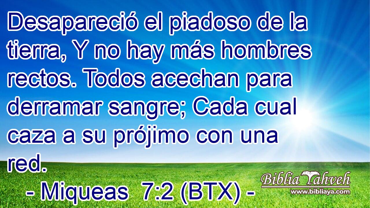 Desapareció el piadoso de la tierra, Y no hay más hombres rectos. Todos acechan para derramar sangre; Cada cual caza a su prójimo con una red.