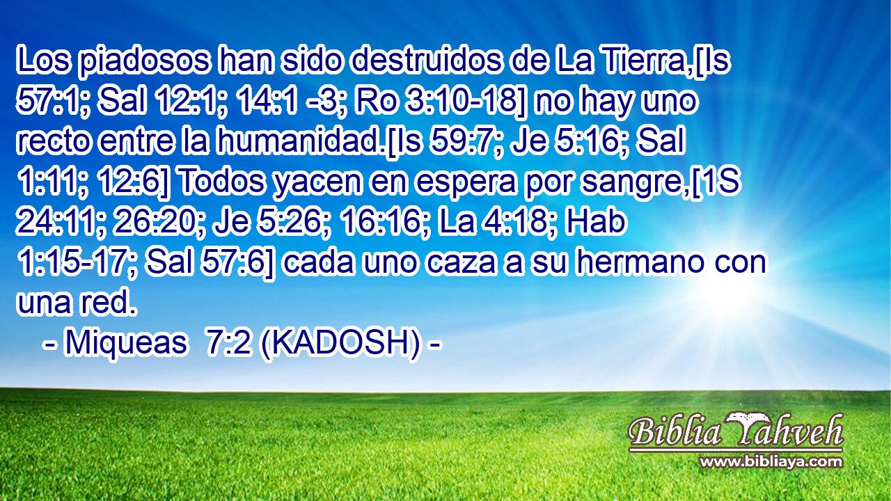  Los piadosos han sido destruidos de La Tierra,[Is 57:1; Sal 12:1; 14:1 -3; Ro 3:10-18] no hay uno recto entre la humanidad.[Is 59:7; Je 5:16; Sal 1:11; 12:6] Todos yacen en espera por sangre,[1S 24:11; 26:20; Je 5:26; 16:16; La 4:18; Hab 1:15-17; Sal 57:6] cada uno caza a su hermano con una red. 