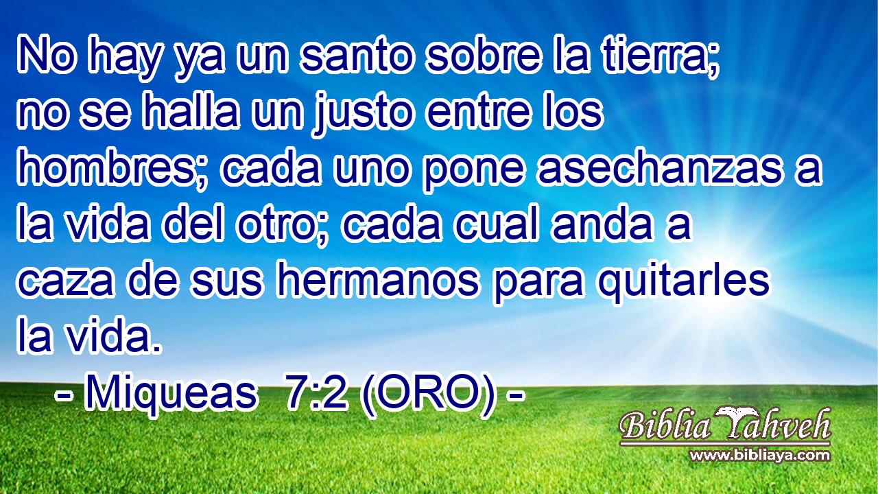  No hay ya un santo sobre la tierra; no se halla un justo entre los hombres; cada uno pone asechanzas a la vida del otro; cada cual anda a caza de sus hermanos para quitarles la vida. 