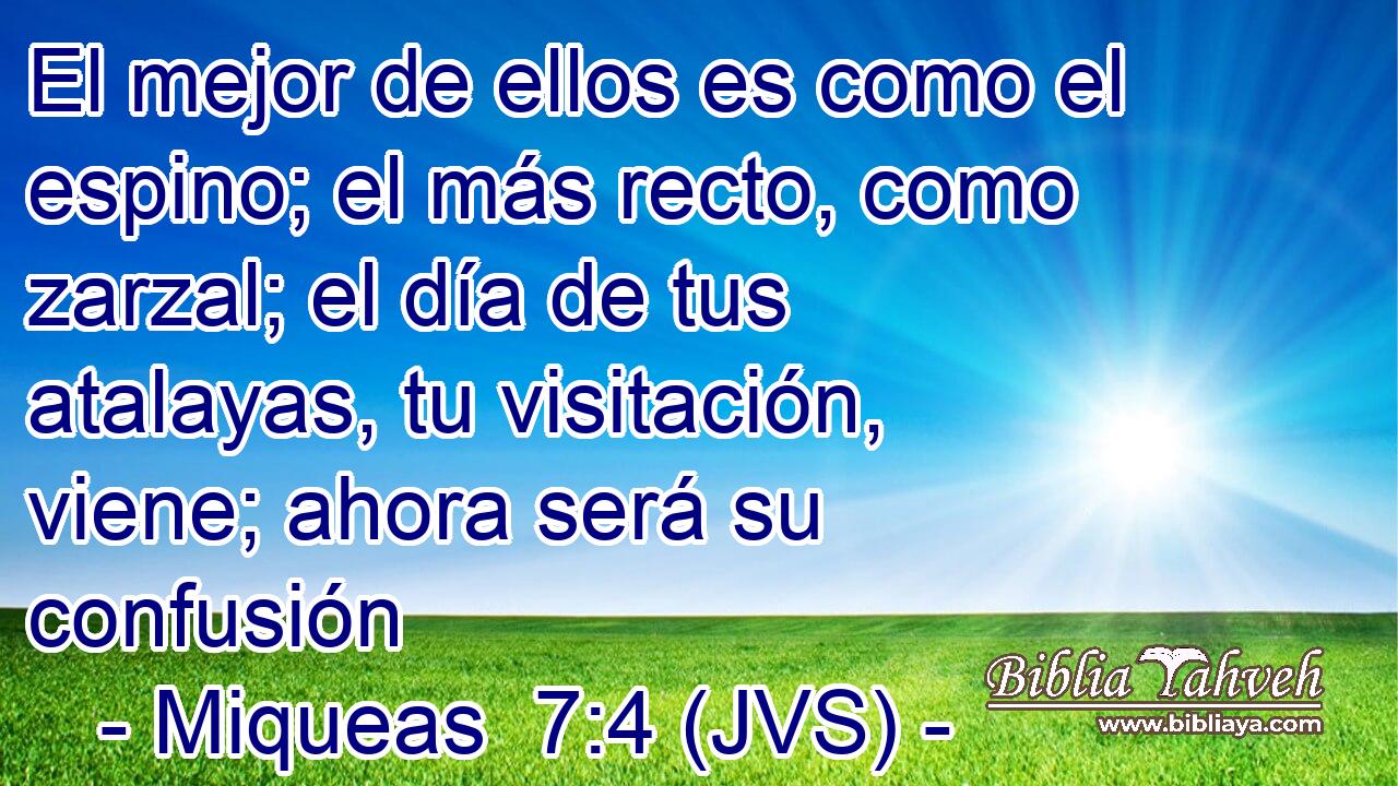 El mejor de ellos es como el espino; el más recto, como zarzal; el día de tus atalayas, tu visitación, viene; ahora será su confusión