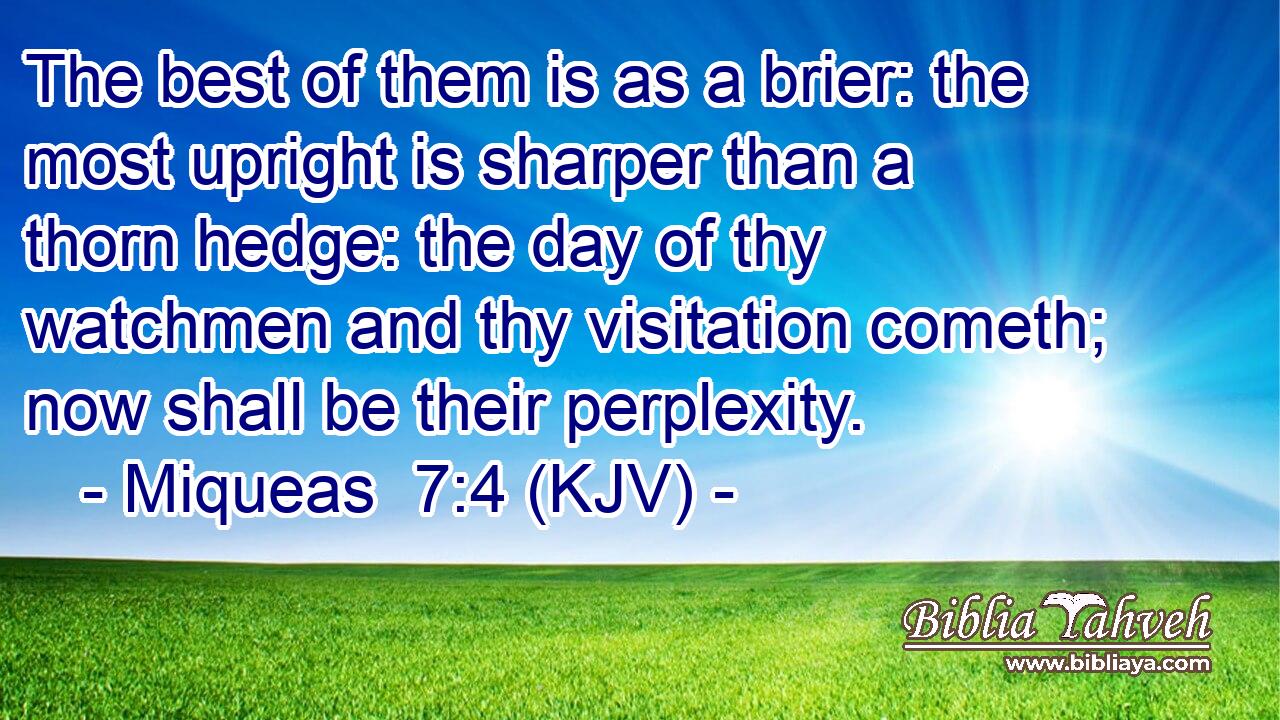 The best of them is as a brier: the most upright is sharper than a thorn hedge: the day of thy watchmen and thy visitation cometh; now shall be their perplexity.