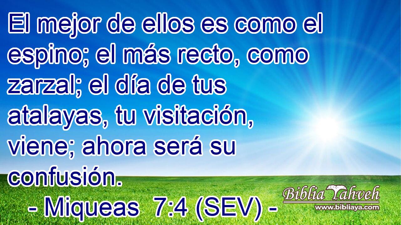 El mejor de ellos es como el espino; el más recto, como zarzal; el día de tus atalayas, tu visitación, viene; ahora será su confusión.