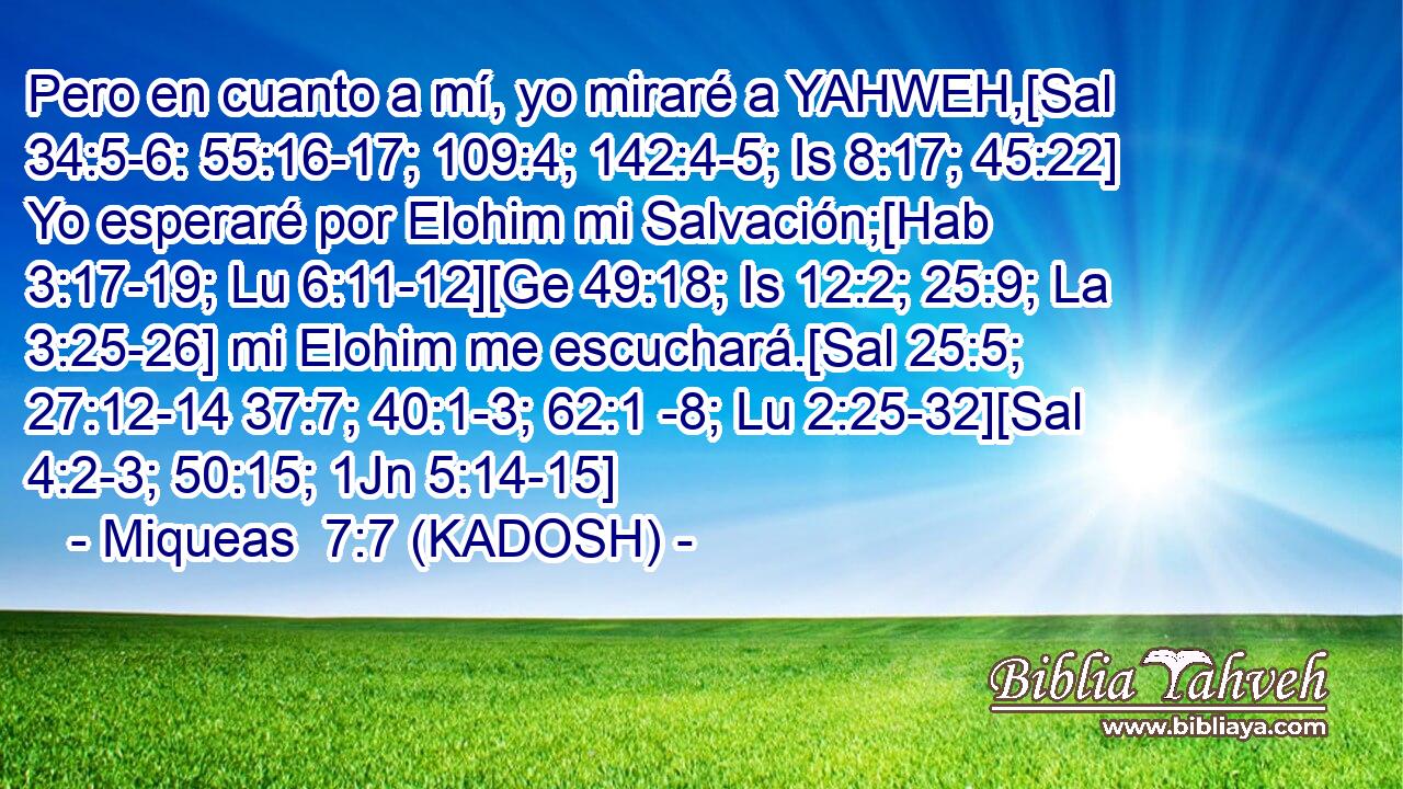  Pero en cuanto a mí, yo miraré a YAHWEH,[Sal 34:5-6: 55:16-17; 109:4; 142:4-5; Is 8:17; 45:22] Yo esperaré por Elohim mi Salvación;[Hab 3:17-19; Lu 6:11-12][Ge 49:18; Is 12:2; 25:9; La 3:25-26] mi Elohim me escuchará.[Sal 25:5; 27:12-14 37:7; 40:1-3; 62:1 -8; Lu 2:25-32][Sal 4:2-3; 50:15; 1Jn 5:14-15] 