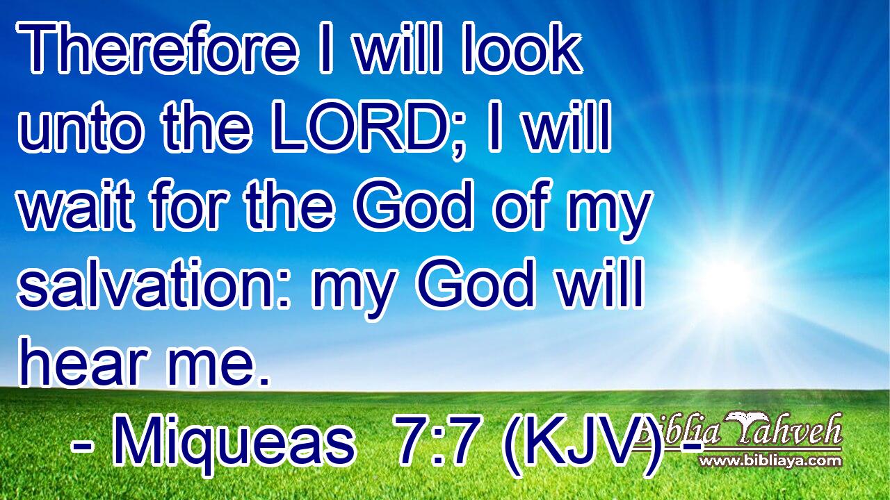 Therefore I will look unto the LORD; I will wait for the God of my salvation: my God will hear me.
