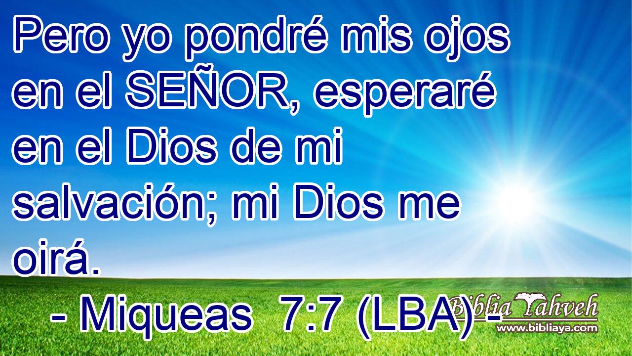 Pero yo pondré mis ojos en el SEÑOR, esperaré en el Dios de mi salvación; mi Dios me oirá.