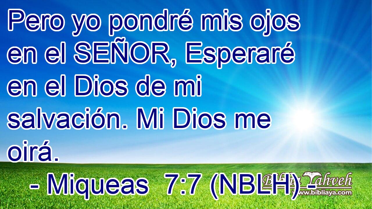  Pero yo pondré mis ojos en el SEÑOR, Esperaré en el Dios de mi salvación. Mi Dios me oirá. 