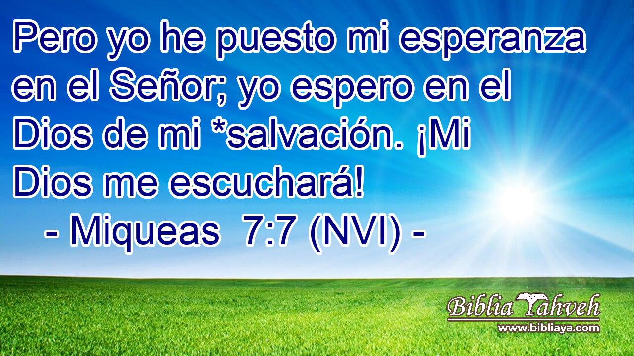  Pero yo he puesto mi esperanza en el Señor; yo espero en el Dios de mi *salvación. ¡Mi Dios me escuchará! 