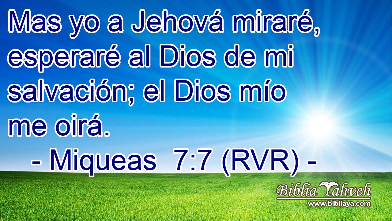Mas yo a Jehová miraré, esperaré al Dios de mi salvación; el Dios mío me oirá.