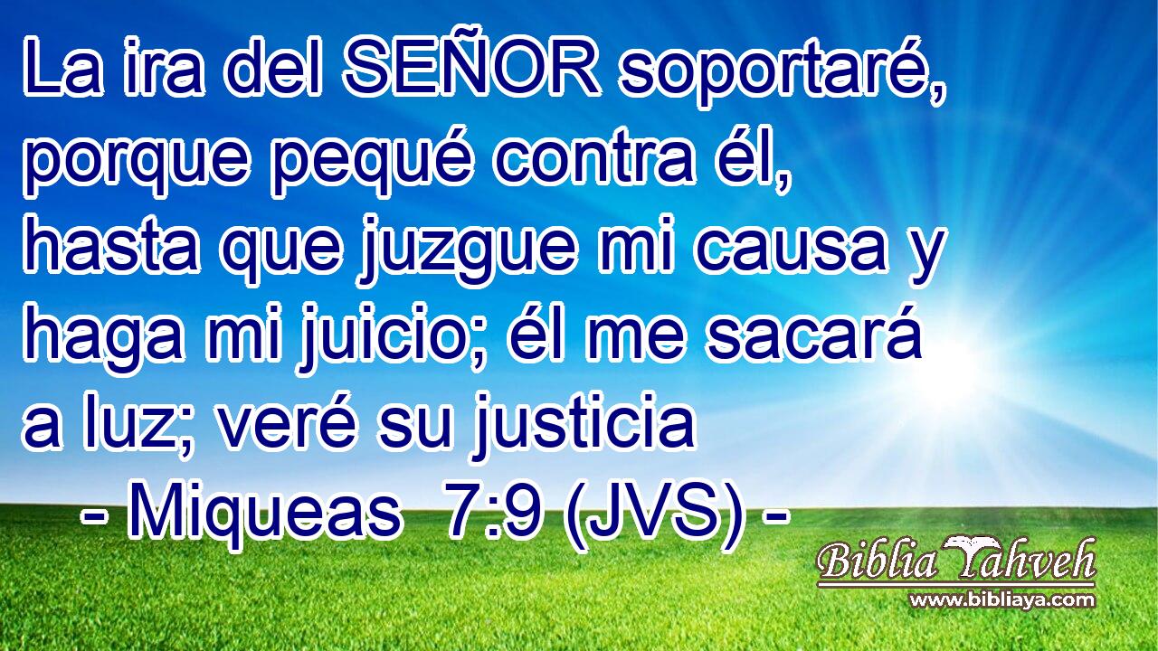 La ira del SEÑOR soportaré, porque pequé contra él, hasta que juzgue mi causa y haga mi juicio; él me sacará a luz; veré su justicia