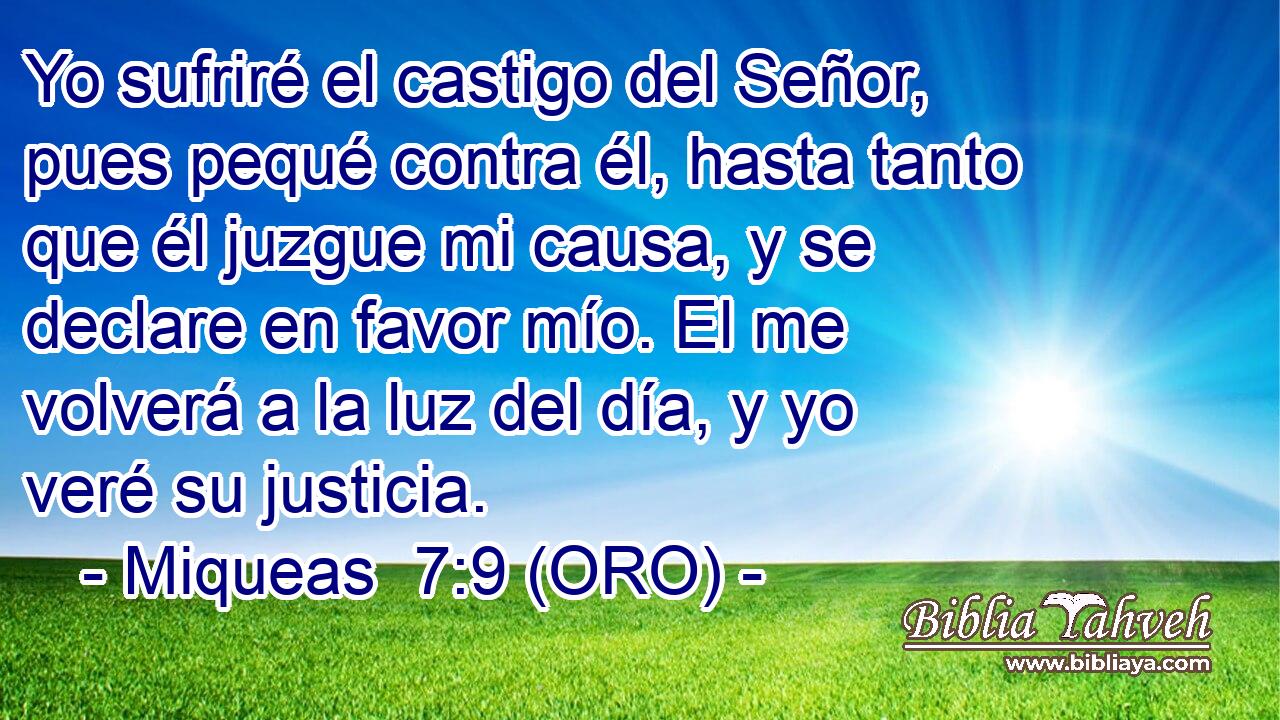  Yo sufriré el castigo del Señor, pues pequé contra él, hasta tanto que él juzgue mi causa, y se declare en favor mío. El me volverá a la luz del día, y yo veré su justicia. 