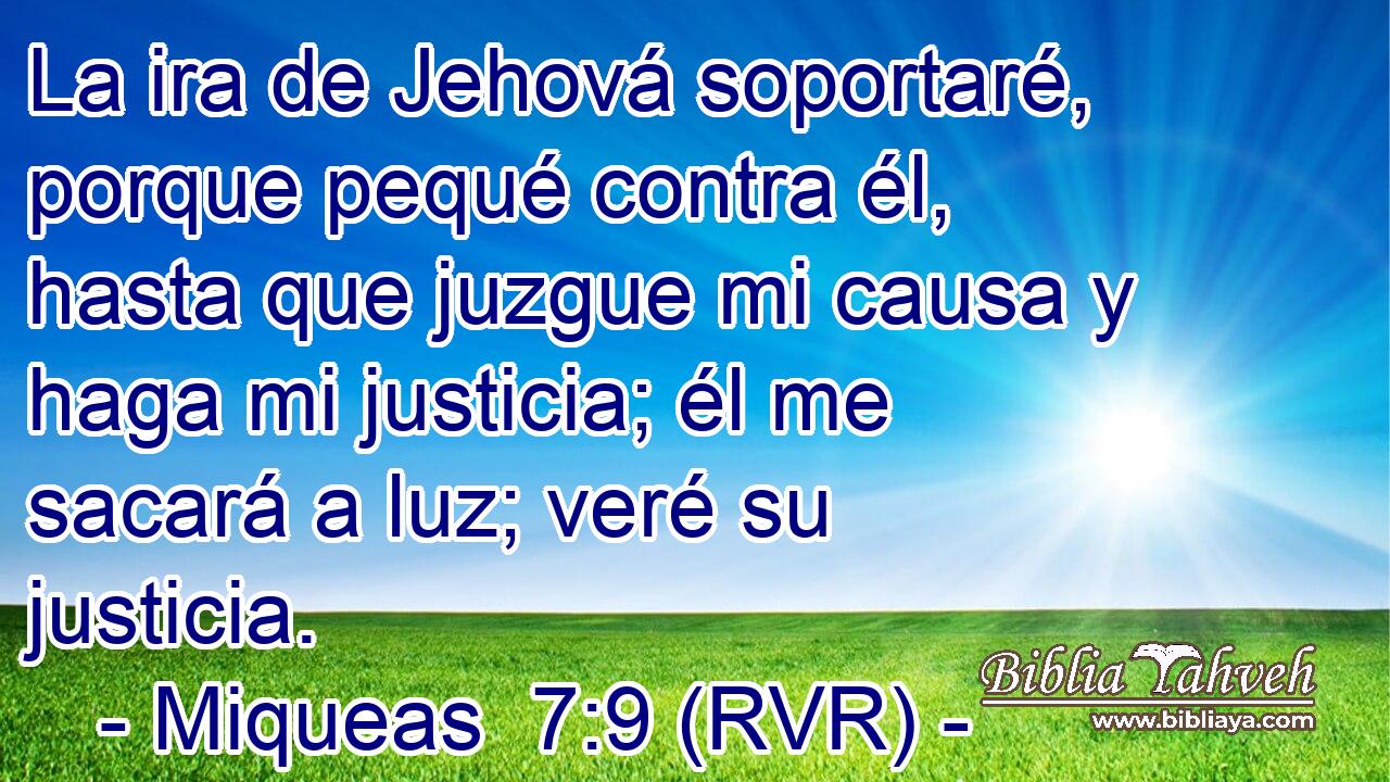La ira de Jehová soportaré, porque pequé contra él, hasta que juzgue mi causa y haga mi justicia; él me sacará a luz; veré su justicia.