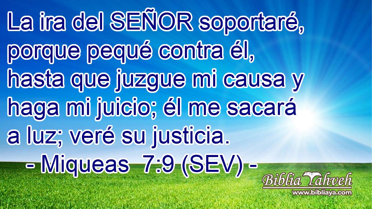 La ira del SEÑOR soportaré, porque pequé contra él, hasta que juzgue mi causa y haga mi juicio; él me sacará a luz; veré su justicia.