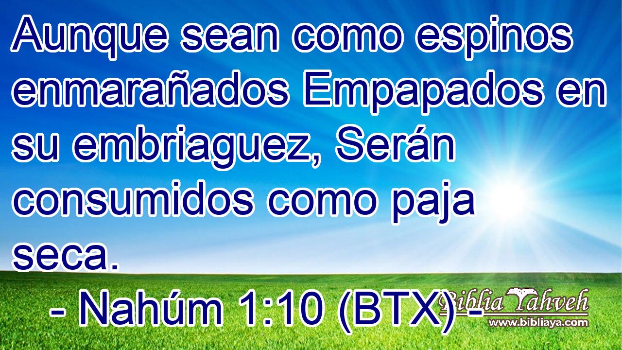 Aunque sean como espinos enmarañados Empapados en su embriaguez, Serán consumidos como paja seca.