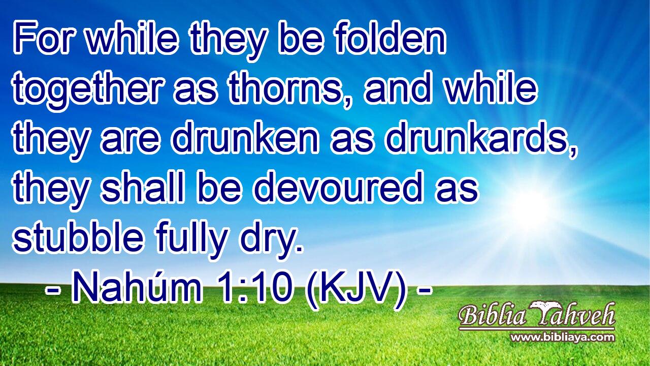 For while they be folden together as thorns, and while they are drunken as drunkards, they shall be devoured as stubble fully dry.