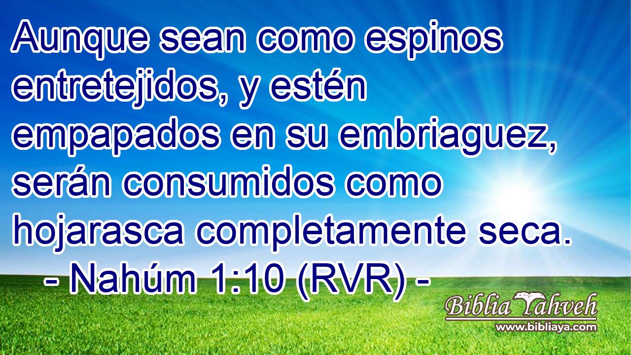 Aunque sean como espinos entretejidos, y estén empapados en su embriaguez, serán consumidos como hojarasca completamente seca.
