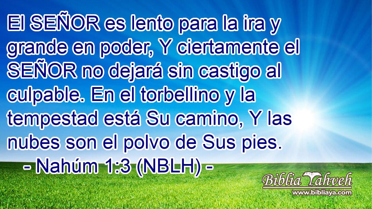  El SEÑOR es lento para la ira y grande en poder, Y ciertamente el SEÑOR no dejará sin castigo al culpable. En el torbellino y la tempestad está Su camino, Y las nubes son el polvo de Sus pies. 