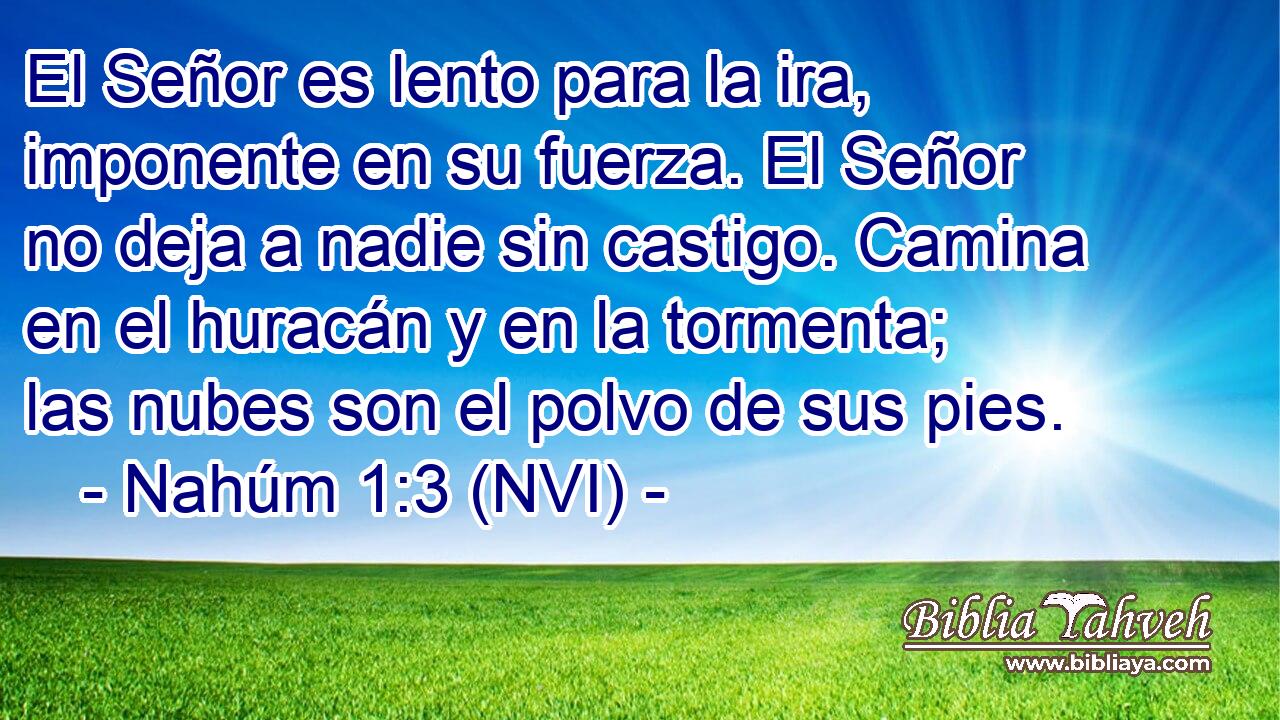  El Señor es lento para la ira, imponente en su fuerza. El Señor no deja a nadie sin castigo. Camina en el huracán y en la tormenta; las nubes son el polvo de sus pies. 