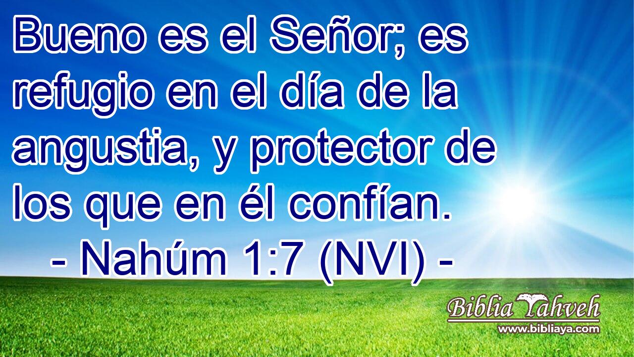  Bueno es el Señor; es refugio en el día de la angustia, y protector de los que en él confían. 