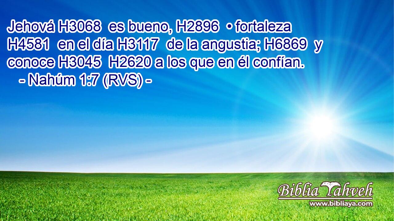 Jehová H3068  es bueno, H2896  • fortaleza H4581  en el día H3117  de la angustia; H6869  y conoce H3045  H2620 a los que en él confían. 