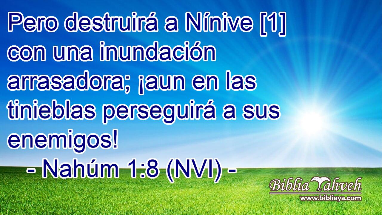  Pero destruirá a Nínive [1] con una inundación arrasadora; ¡aun en las tinieblas perseguirá a sus enemigos! 