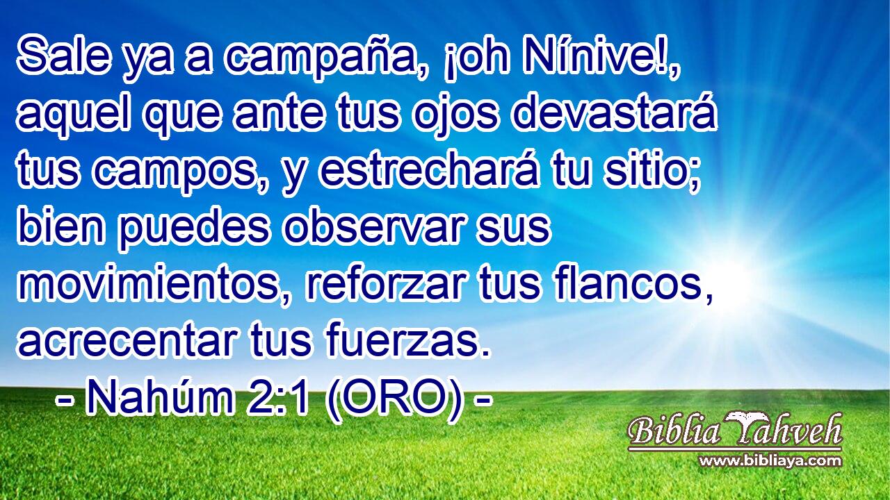  Sale ya a campaña, ¡oh Nínive!, aquel que ante tus ojos devastará tus campos, y estrechará tu sitio; bien puedes observar sus movimientos, reforzar tus flancos, acrecentar tus fuerzas. 