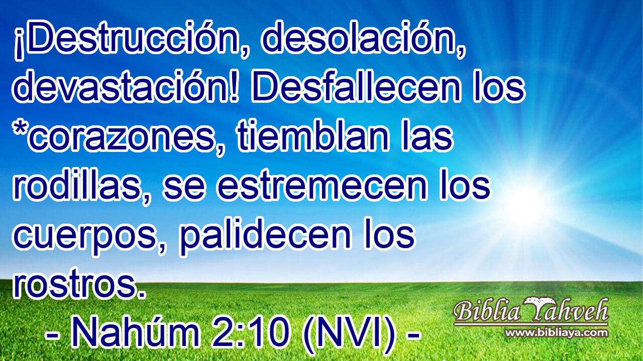  ¡Destrucción, desolación, devastación! Desfallecen los *corazones, tiemblan las rodillas, se estremecen los cuerpos, palidecen los rostros. 