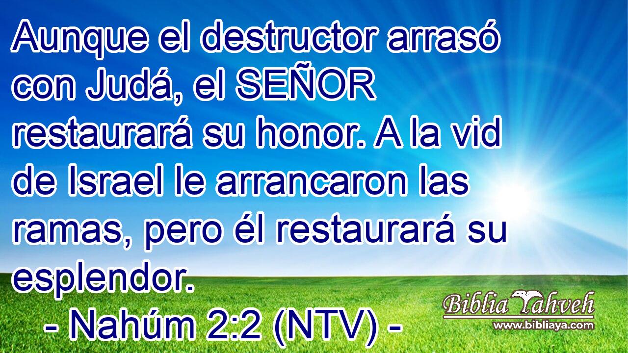 Aunque el destructor arrasó con Judá, el SEÑOR restaurará su honor. A la vid de Israel le arrancaron las ramas, pero él restaurará su esplendor.