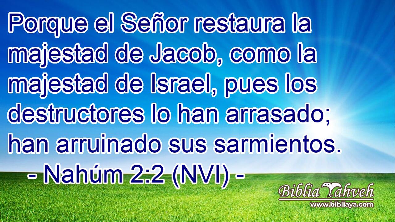  Porque el Señor restaura la majestad de Jacob, como la majestad de Israel, pues los destructores lo han arrasado; han arruinado sus sarmientos. 