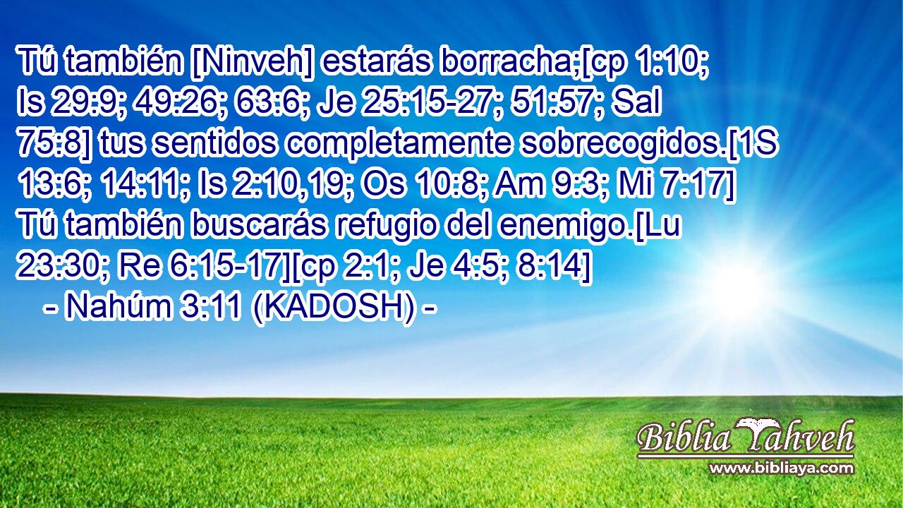 Tú también [Ninveh] estarás borracha;[cp 1:10; Is 29:9; 49:26; 63:6; Je 25:15-27; 51:57; Sal 75:8] tus sentidos completamente sobrecogidos.[1S 13:6; 14:11; Is 2:10,19; Os 10:8; Am 9:3; Mi 7:17] Tú también buscarás refugio del enemigo.[Lu 23:30; Re 6:15-17][cp 2:1; Je 4:5; 8:14] 