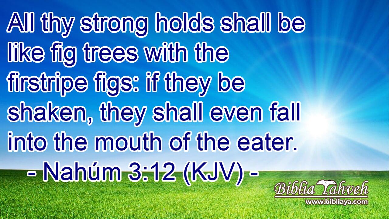 All thy strong holds shall be like fig trees with the firstripe figs: if they be shaken, they shall even fall into the mouth of the eater.