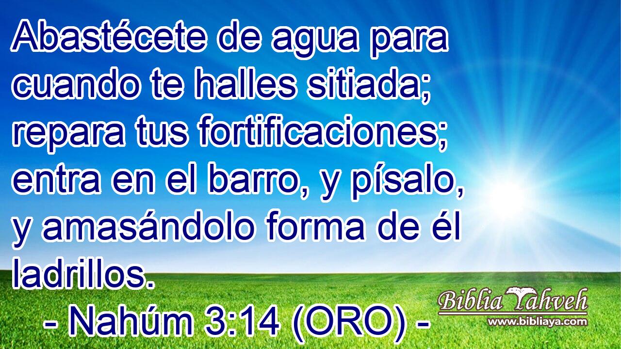  Abastécete de agua para cuando te halles sitiada; repara tus fortificaciones; entra en el barro, y písalo, y amasándolo forma de él ladrillos. 