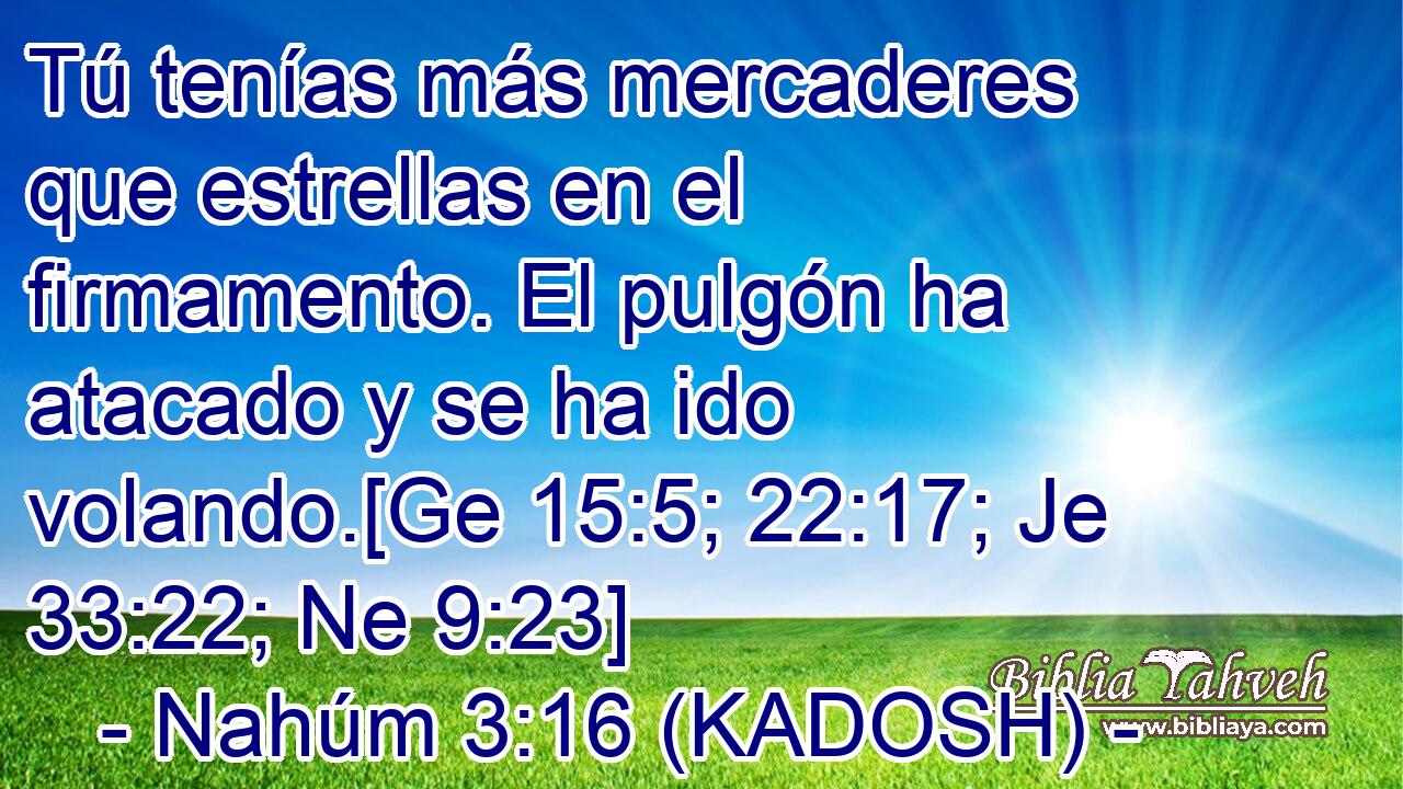  Tú tenías más mercaderes que estrellas en el firmamento. El pulgón ha atacado y se ha ido volando.[Ge 15:5; 22:17; Je 33:22; Ne 9:23] 