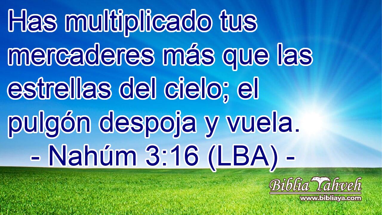 Has multiplicado tus mercaderes más que las estrellas del cielo; el pulgón despoja y vuela.