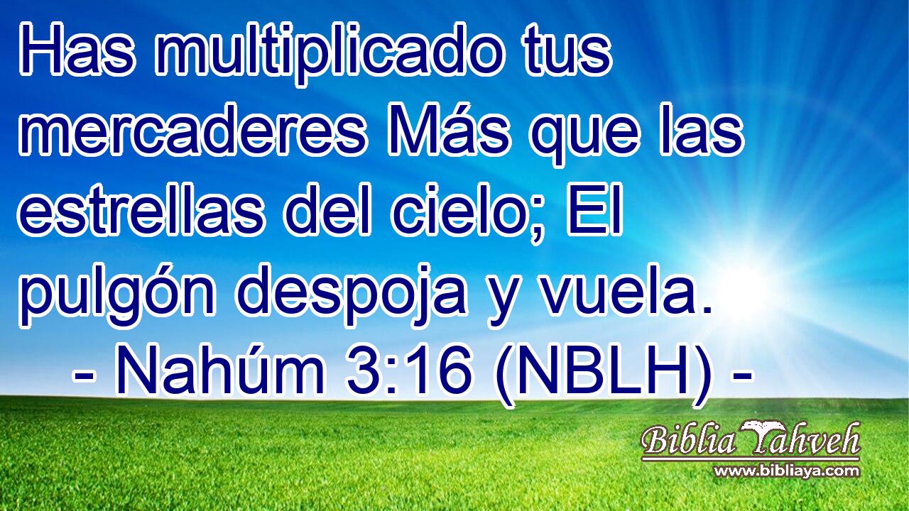  Has multiplicado tus mercaderes Más que las estrellas del cielo; El pulgón despoja y vuela. 