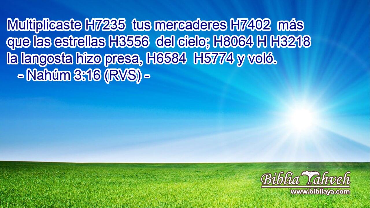 Multiplicaste H7235  tus mercaderes H7402  más que las estrellas H3556  del cielo; H8064 H H3218 la langosta hizo presa, H6584  H5774 y voló. 