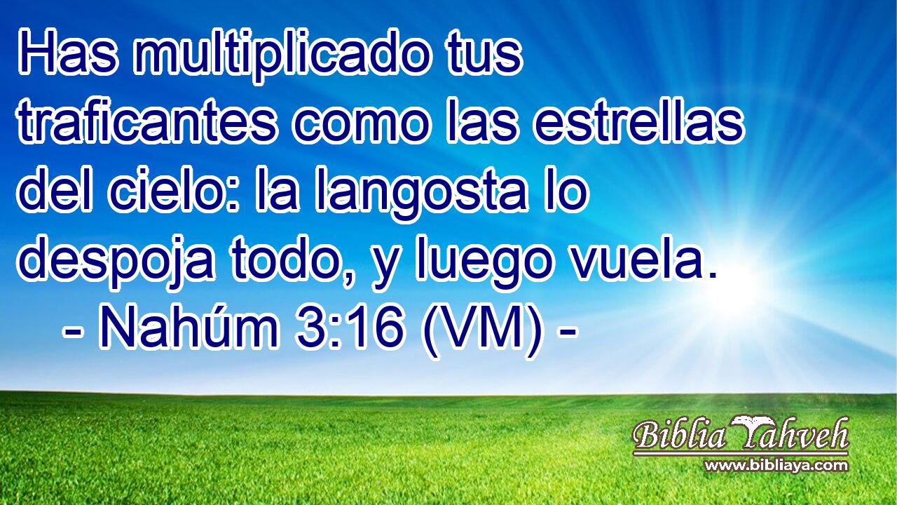  Has multiplicado tus traficantes como las estrellas del cielo: la langosta lo despoja todo, y luego vuela. 