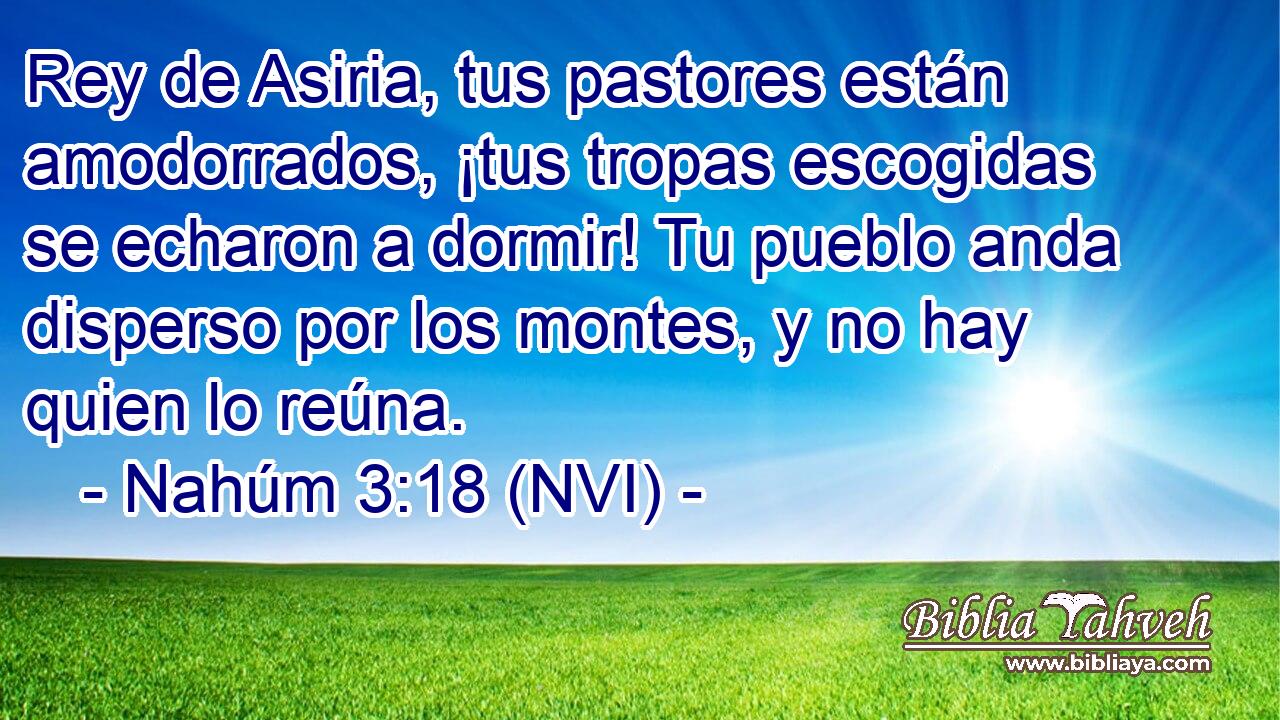  Rey de Asiria, tus pastores están amodorrados, ¡tus tropas escogidas se echaron a dormir! Tu pueblo anda disperso por los montes, y no hay quien lo reúna. 
