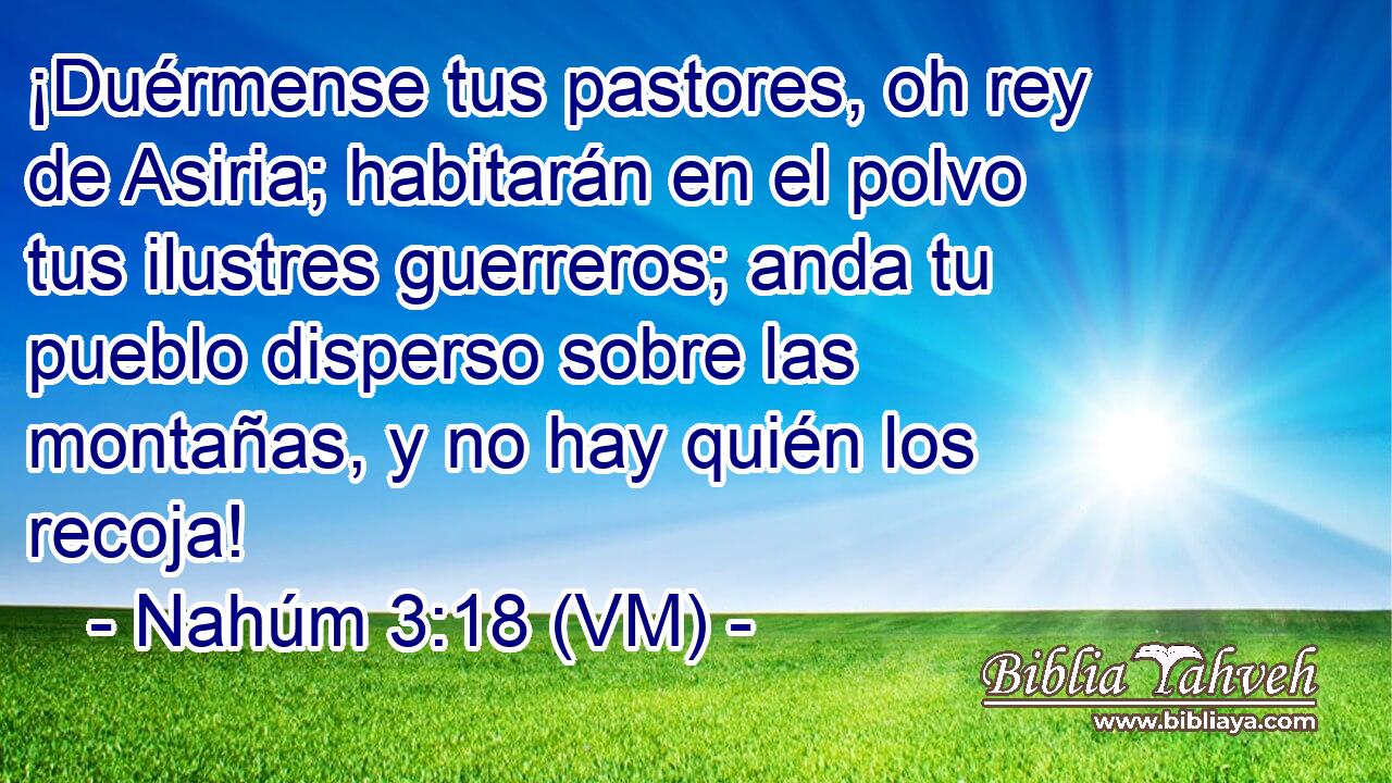  ¡Duérmense tus pastores, oh rey de Asiria; habitarán en el polvo tus ilustres guerreros; anda tu pueblo disperso sobre las montañas, y no hay quién los recoja! 