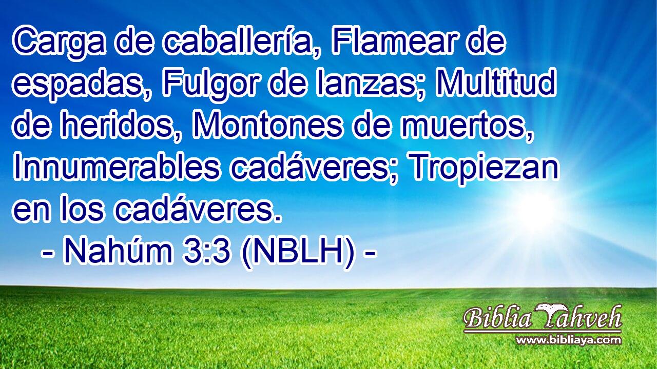  Carga de caballería, Flamear de espadas, Fulgor de lanzas; Multitud de heridos, Montones de muertos, Innumerables cadáveres; Tropiezan en los cadáveres. 