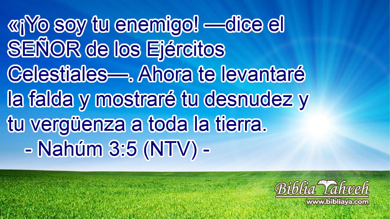 «¡Yo soy tu enemigo! —dice el SEÑOR de los Ejércitos Celestiales—. Ahora te levantaré la falda y mostraré tu desnudez y tu vergüenza a toda la tierra.