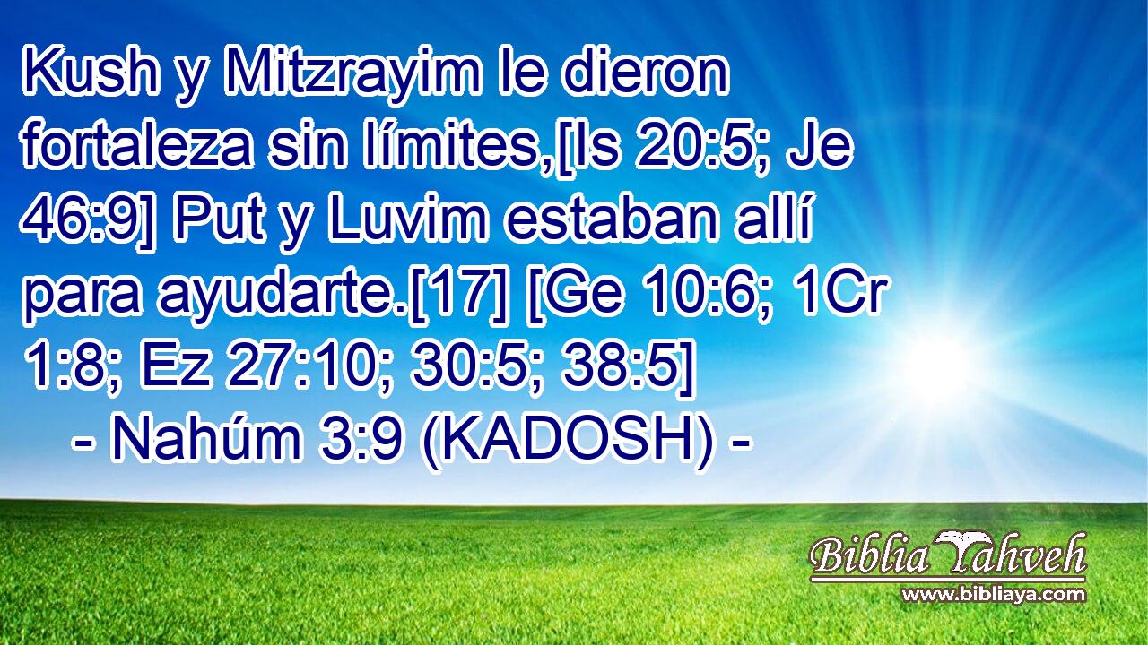  Kush y Mitzrayim le dieron fortaleza sin límites,[Is 20:5; Je 46:9] Put y Luvim estaban allí para ayudarte.[17] [Ge 10:6; 1Cr 1:8; Ez 27:10; 30:5; 38:5] 