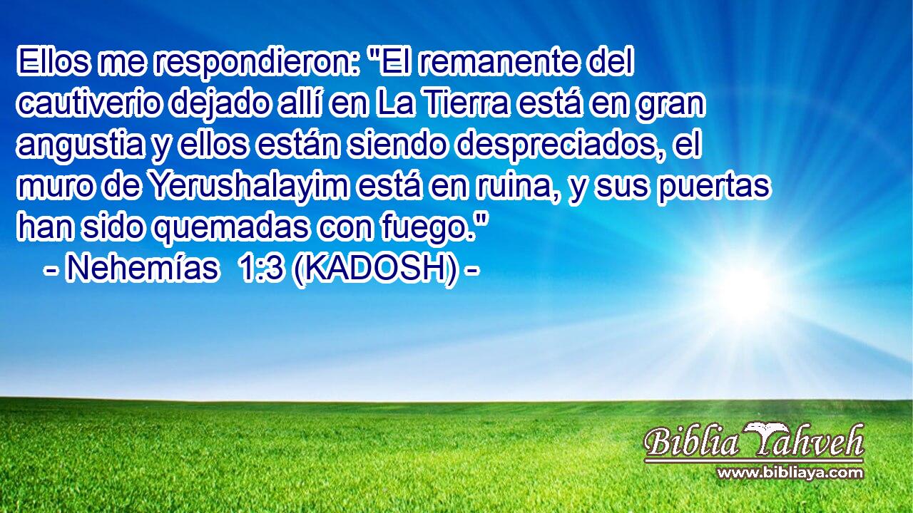  Ellos me respondieron: 