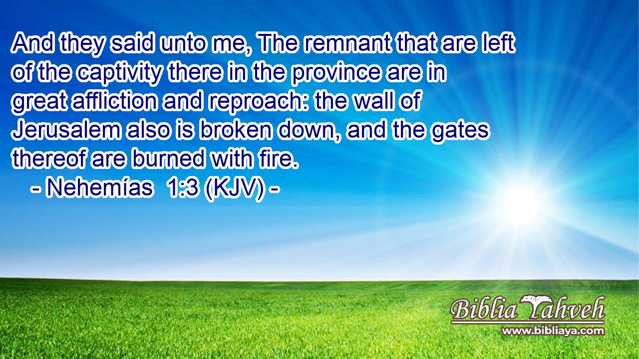 And they said unto me, The remnant that are left of the captivity there in the province are in great affliction and reproach: the wall of Jerusalem also is broken down, and the gates thereof are burned with fire.
