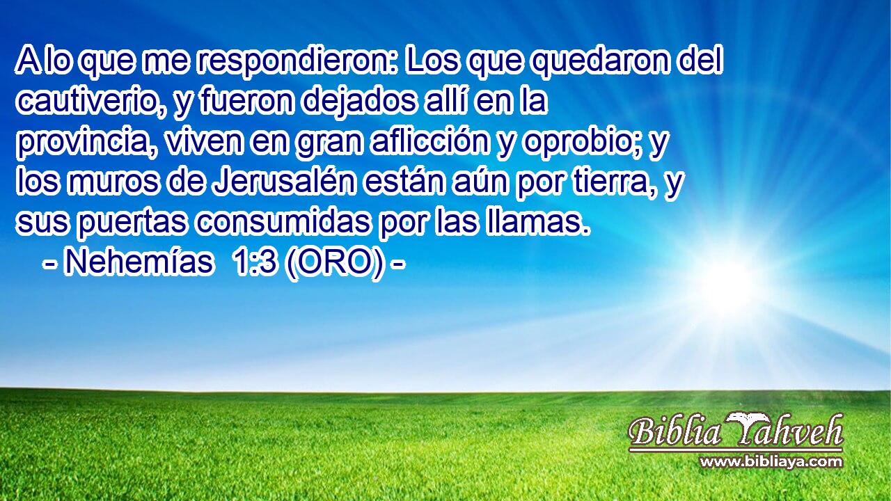  A lo que me respondieron: Los que quedaron del cautiverio, y fueron dejados allí en la provincia, viven en gran aflicción y oprobio; y los muros de Jerusalén están aún por tierra, y sus puertas consumidas por las llamas. 