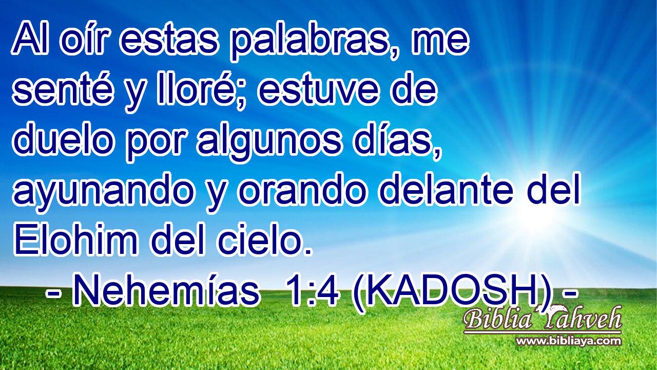  Al oír estas palabras, me senté y lloré; estuve de duelo por algunos días, ayunando y orando delante del Elohim del cielo. 