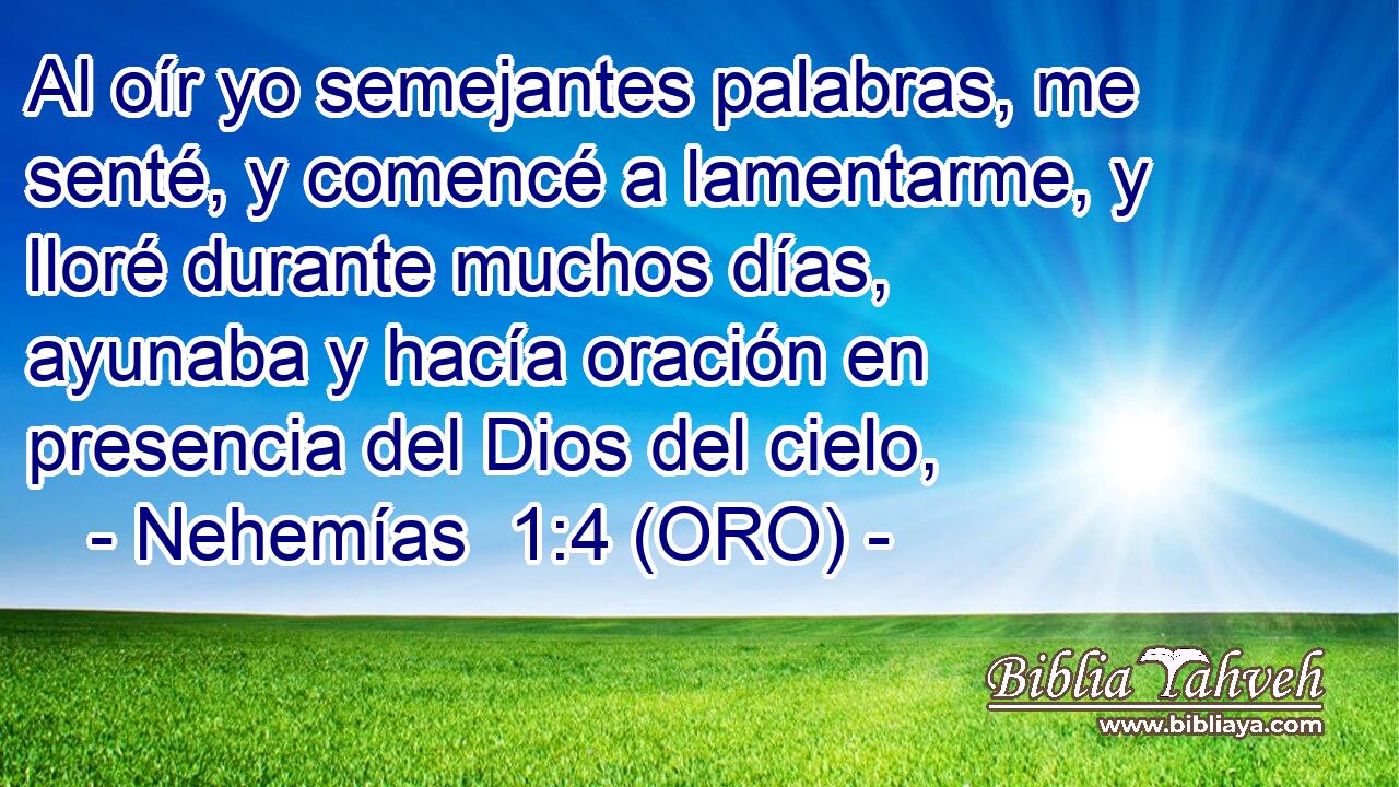  Al oír yo semejantes palabras, me senté, y comencé a lamentarme, y lloré durante muchos días, ayunaba y hacía oración en presencia del Dios del cielo, 