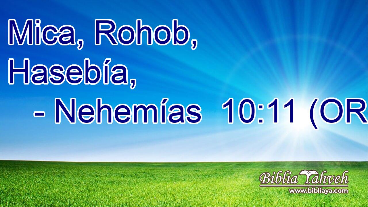  Mica, Rohob, Hasebía, 