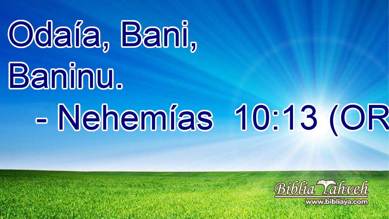  Odaía, Bani, Baninu. 
