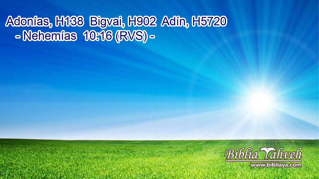 Adonías, H138  Bigvai, H902  Adín, H5720  